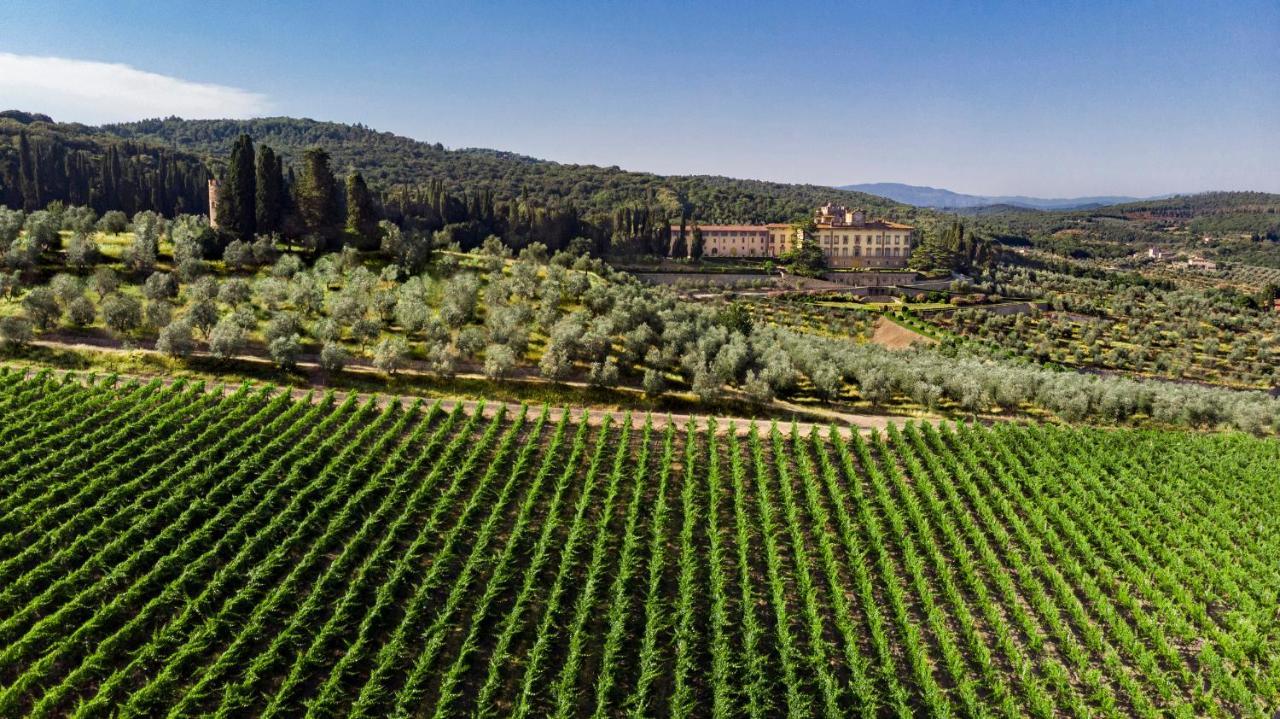 Hotel Torre A Cona Wine Estate à San Donato in Collina Extérieur photo