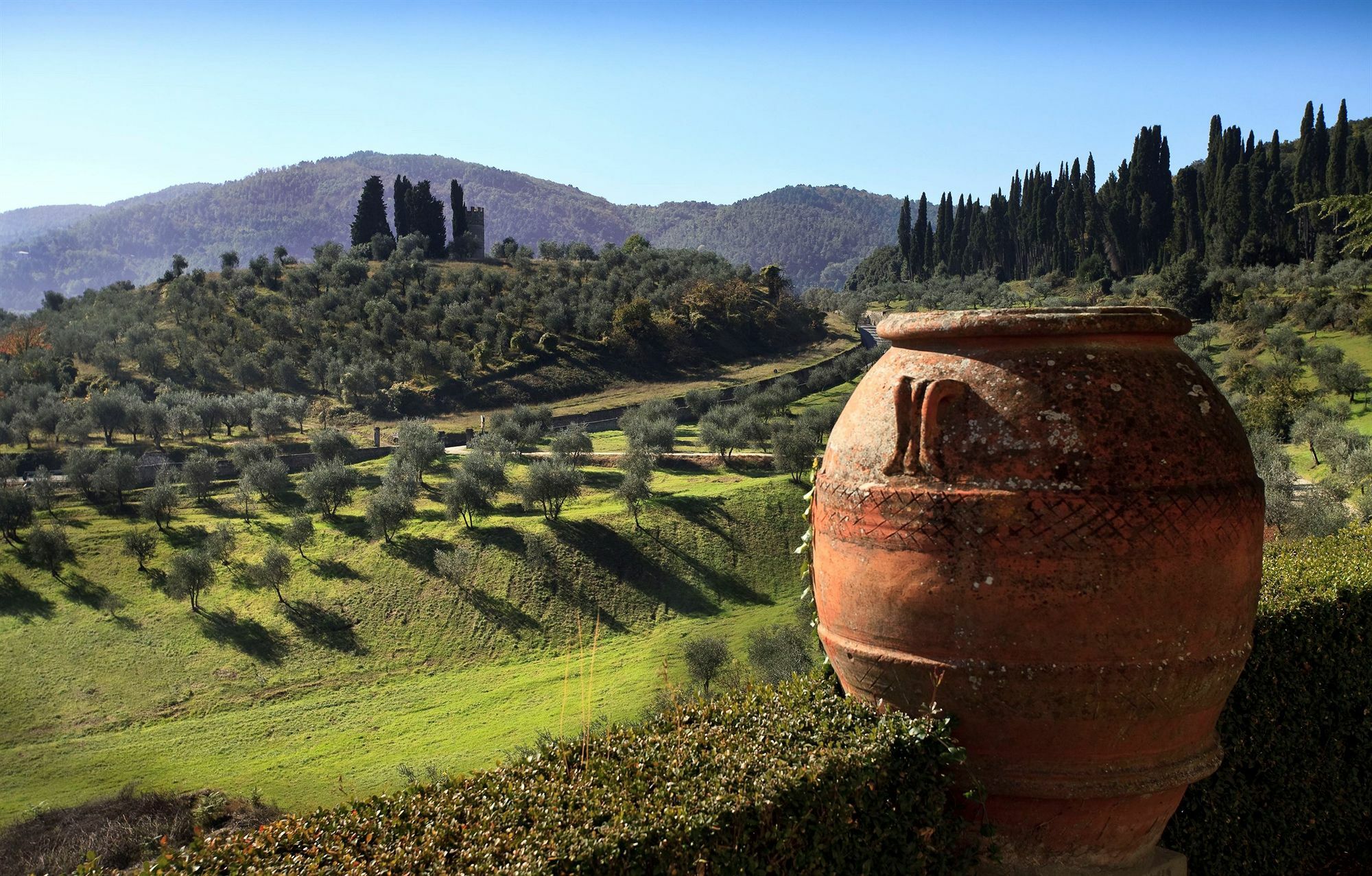 Hotel Torre A Cona Wine Estate à San Donato in Collina Extérieur photo